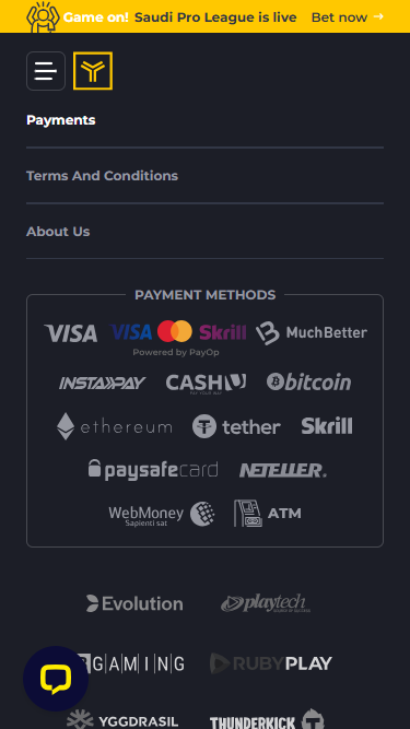 yyy casinos payment methods